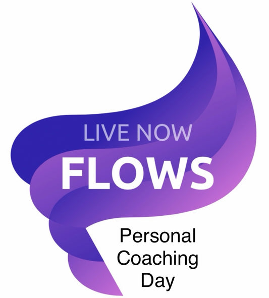 Personal FLOWS ~ Coaching Day (6-8 Stunden mit kraftvollem Mittagessen / 6-8 hours with powerful lunch)